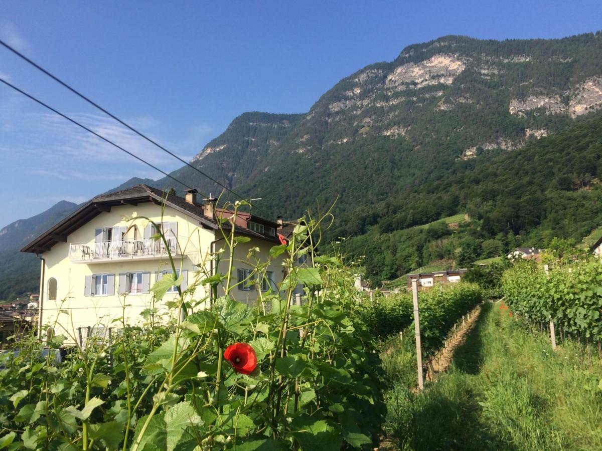 Haus Jablonsky Bed & Breakfast Caldaro Eksteriør bilde